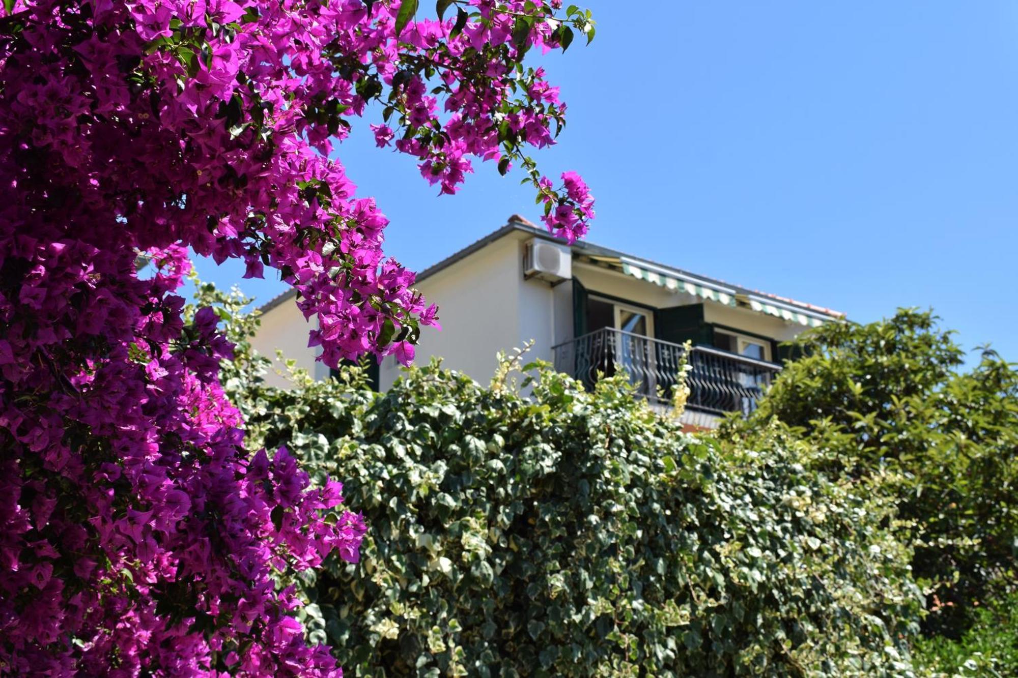 Lina Vrankovic Apartments Hvar Town Exteriér fotografie