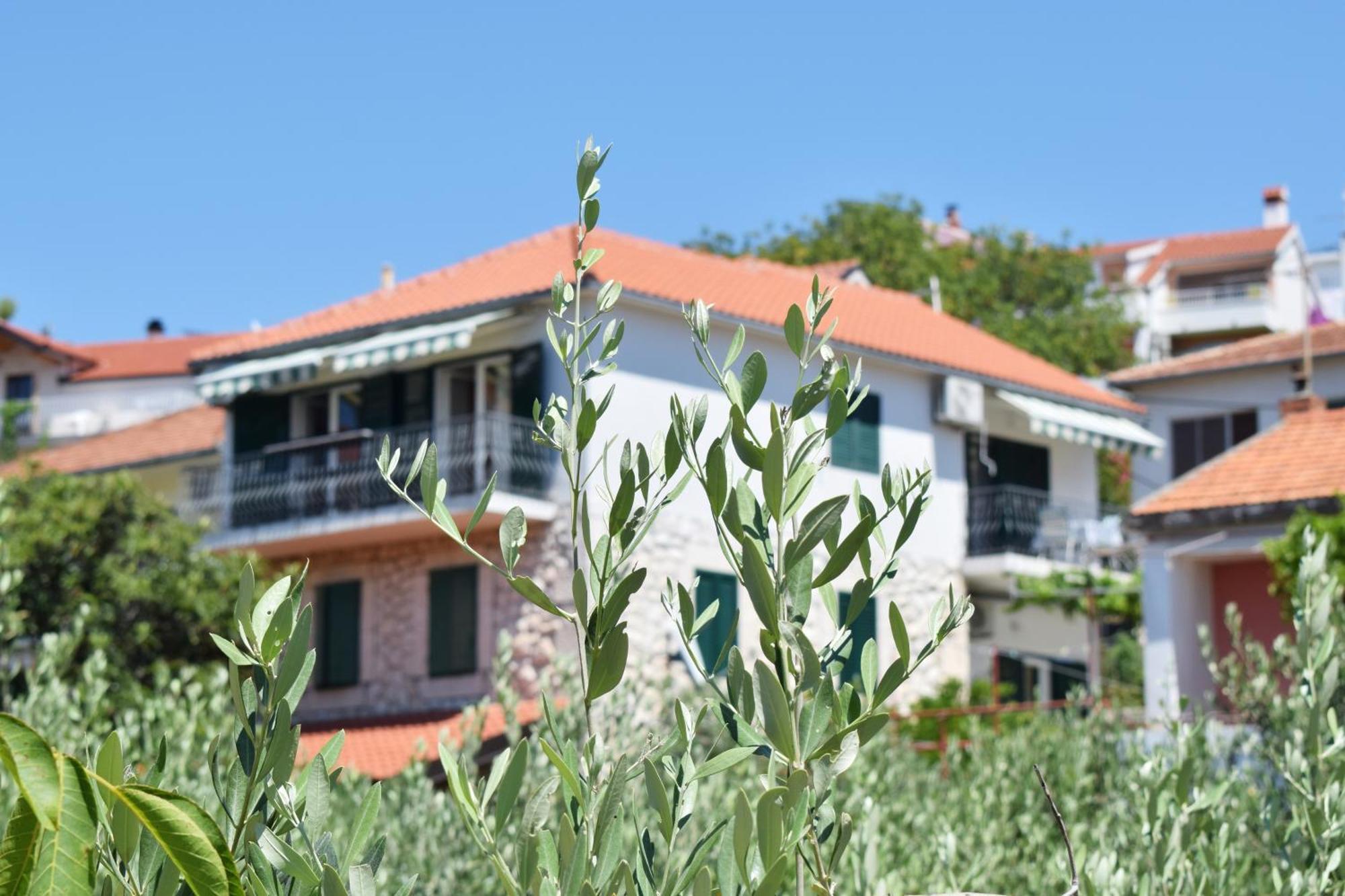 Lina Vrankovic Apartments Hvar Town Exteriér fotografie